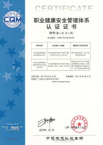 强能职业健康安全认证附件
