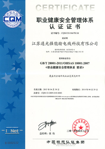 强能职业健康安全管理体系认证证书