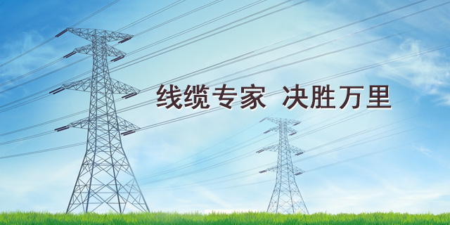 线缆专家 决胜万里